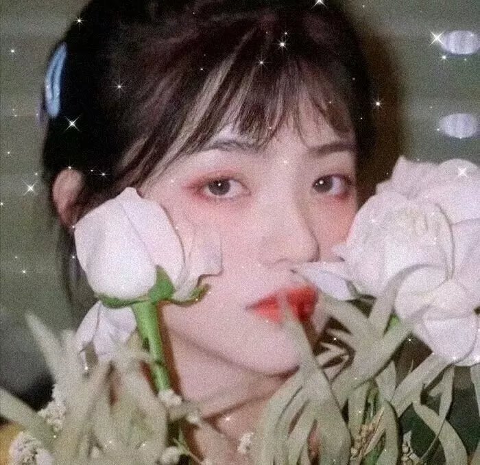 南方有乔木