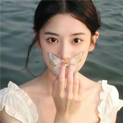 完美计划